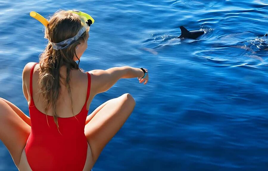Hurghada: Dolphin Cruise with Snorkeling & Buffet Lunch - Two Snorkeling Stops at Coral Reefs: When to Gear Up