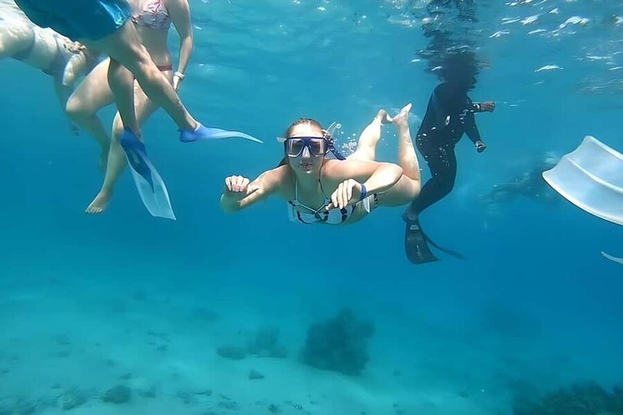 Hurghada: Dolphin Cruise with Snorkeling & Buffet Lunch - Guides, Safety, and Help in the Water (Without Drama)
