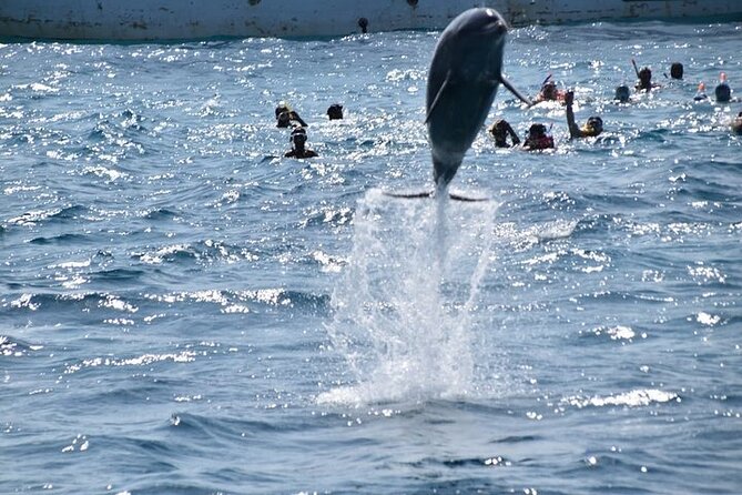 Hurghada Dolphin House: Full-Day Snorkeling & Boat Experience - How the Day Starts: Hurghada Pickup and the 8:00am Head Start