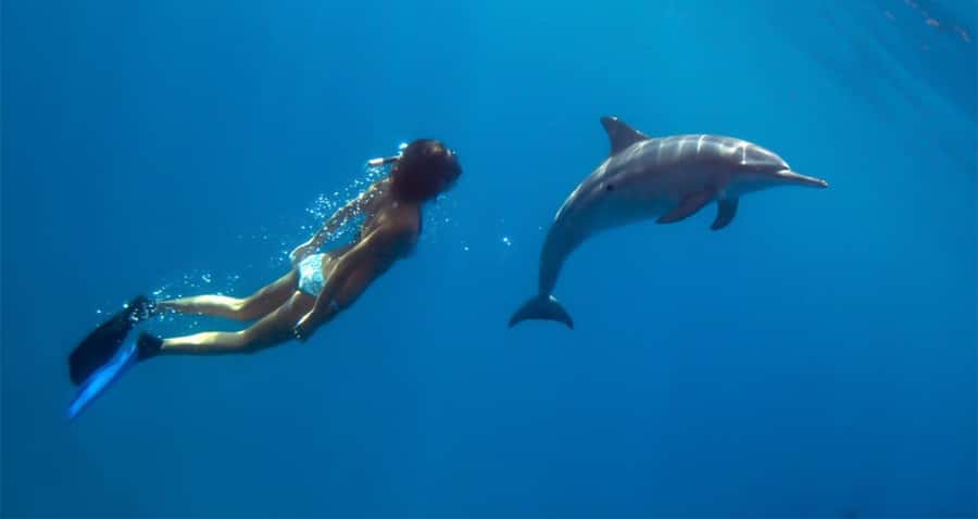 Hurghada: Dolphin watch Cruise with optional pickup - Second Snorkel Tour Plus the Lunch Break That Keeps Things Easy