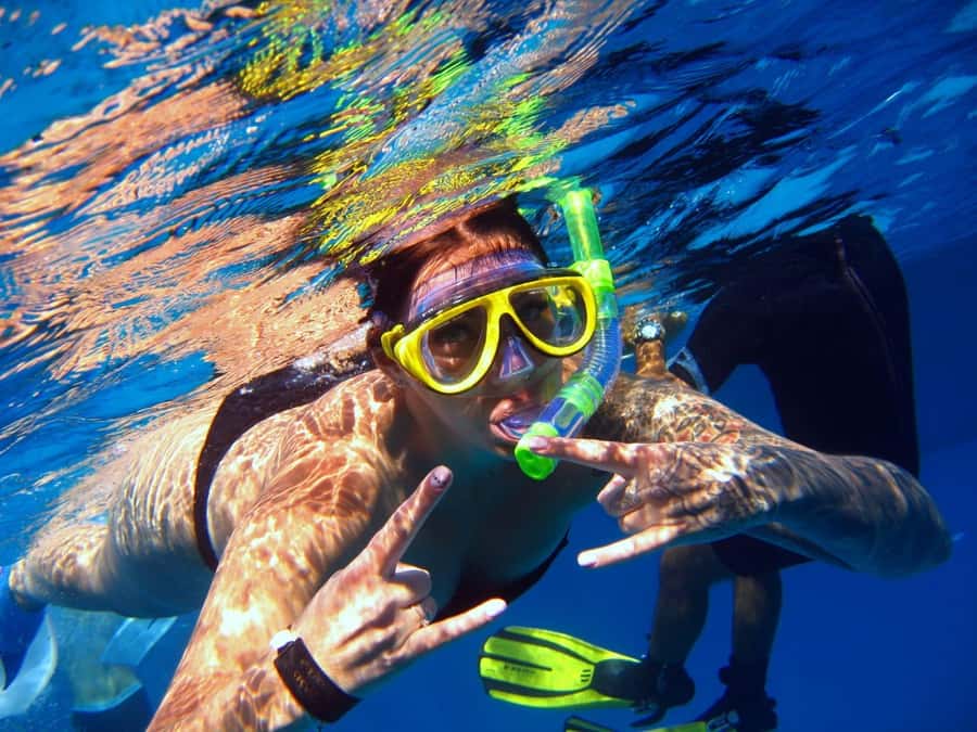 Hurghada: Dolphin watch Cruise with optional pickup - Reef Time Around the Red Sea: What You’re Actually Looking For