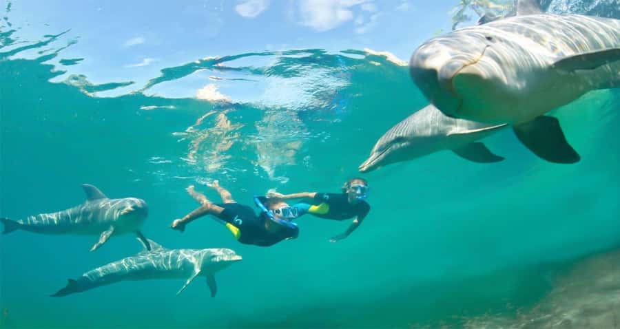 Hurghada: Dolphin watch Cruise with optional pickup - Practical Checklist: What to Bring for a 6-Hour Sea Day