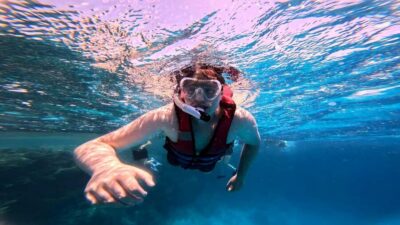 Hurghada: Dolphin Watching Boat Tour with Snorkeling & Lunch - Dolphins in the wild: what to expect and how to maximize your odds