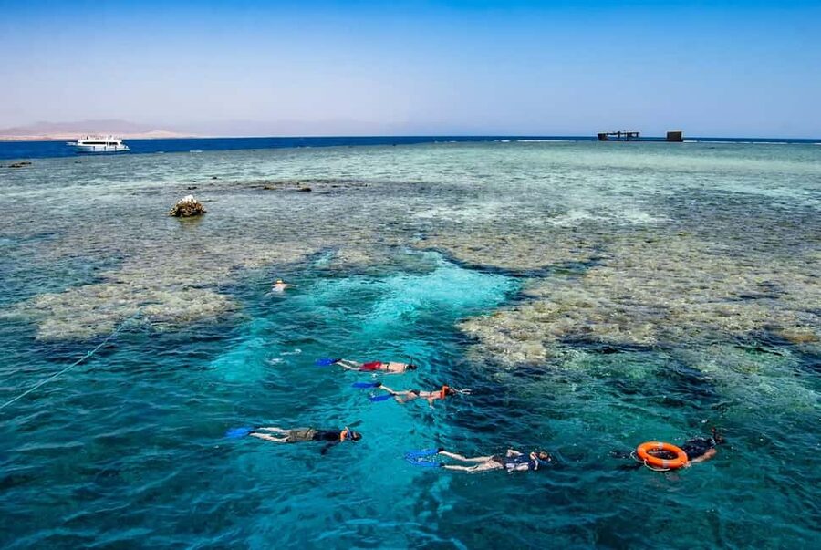 Hurghada: Dolphin Watching Boat Tour with Snorkeling & Lunch - The onboard lunch and “in-between time” that keep the day fun