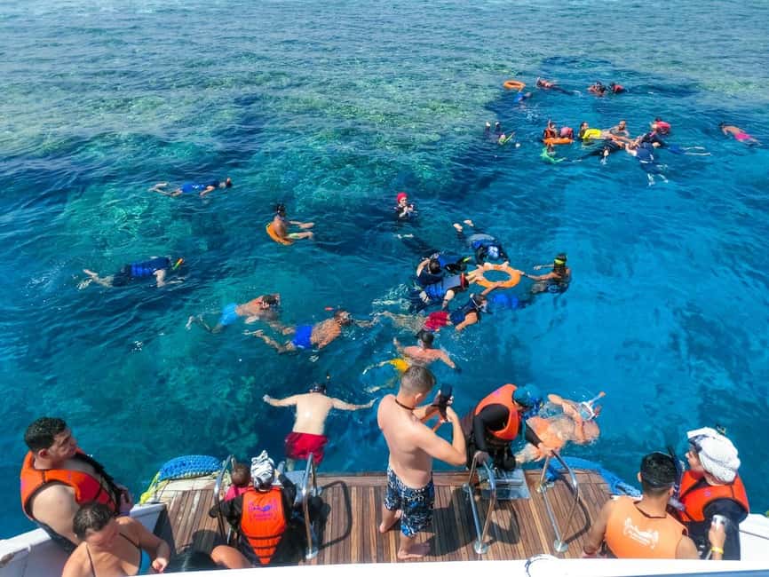 Hurghada: Dolphin Watching Boat Tour with Snorkeling & Lunch - The crew vibe: safety rules with a human touch