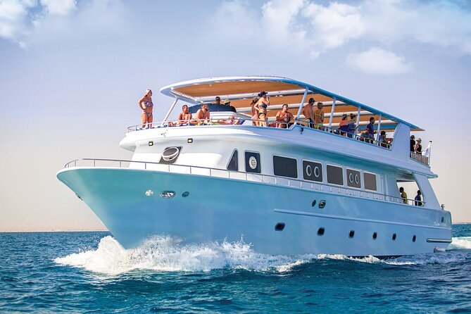 Hurghada: Dolphin World Show with Walruses and Pickup - The 10:30 am show timing: how to make it smooth