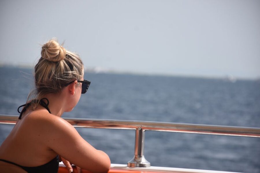 Hurghada or Makadi: Discover the Magic of Dolphin House - Dolphin House Day: What You Actually Get for $27