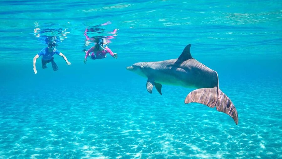 Hurghada or Makadi: Discover the Magic of Dolphin House - Where You’ll Start: Pickup Areas and Timing Reality