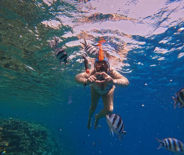 Hurghada or Makadi: Discover the Magic of Dolphin House - Sofa Boat Fun and Why Wind Can Change Everything