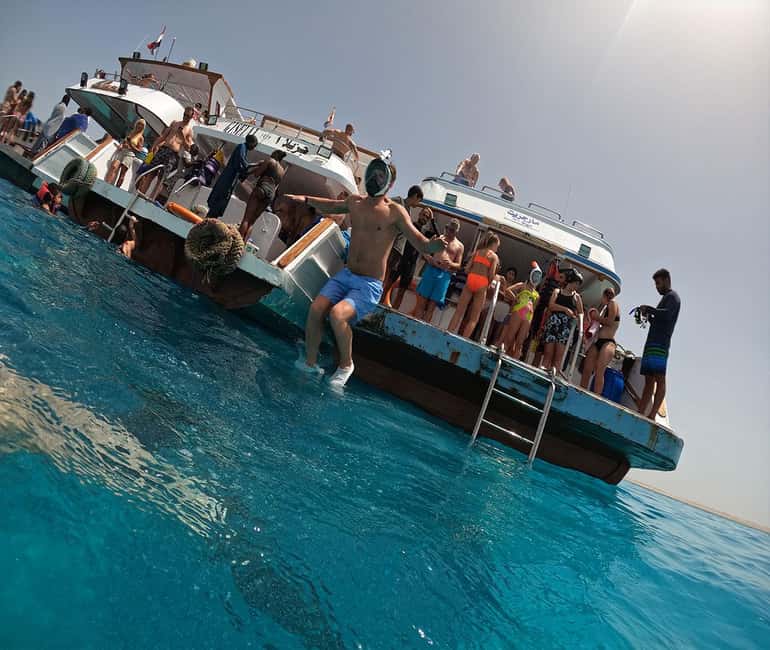 Hurghada or Makadi: Discover the Magic of Dolphin House - Who This Trip Fits Best (and Who Should Skip It)