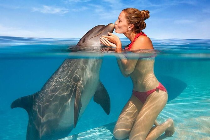 Hurghada: Private 4 Hours Speedboat Dolphin House Snorkling Tour - El Mina’s wreck-area: why this stop is a big deal