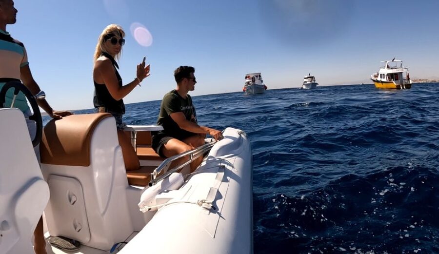 Hurghada: Private Speedboat to Dolphin House with Pickup - Common Timing and Sea-Condition Considerations (So You Don’t Feel Surprised)