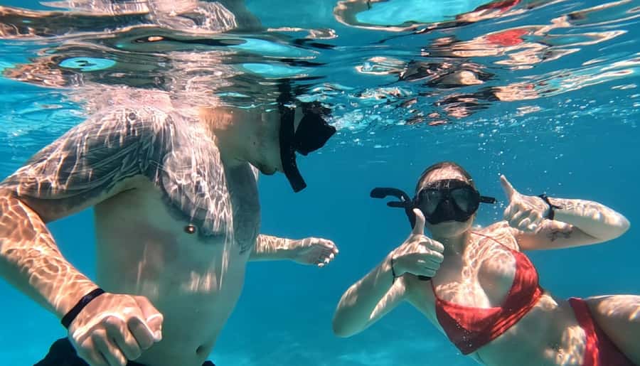 Hurghada: Private Speedboat to Dolphin House with Pickup - Price and Value: Is $212 Worth It for a Private Group?