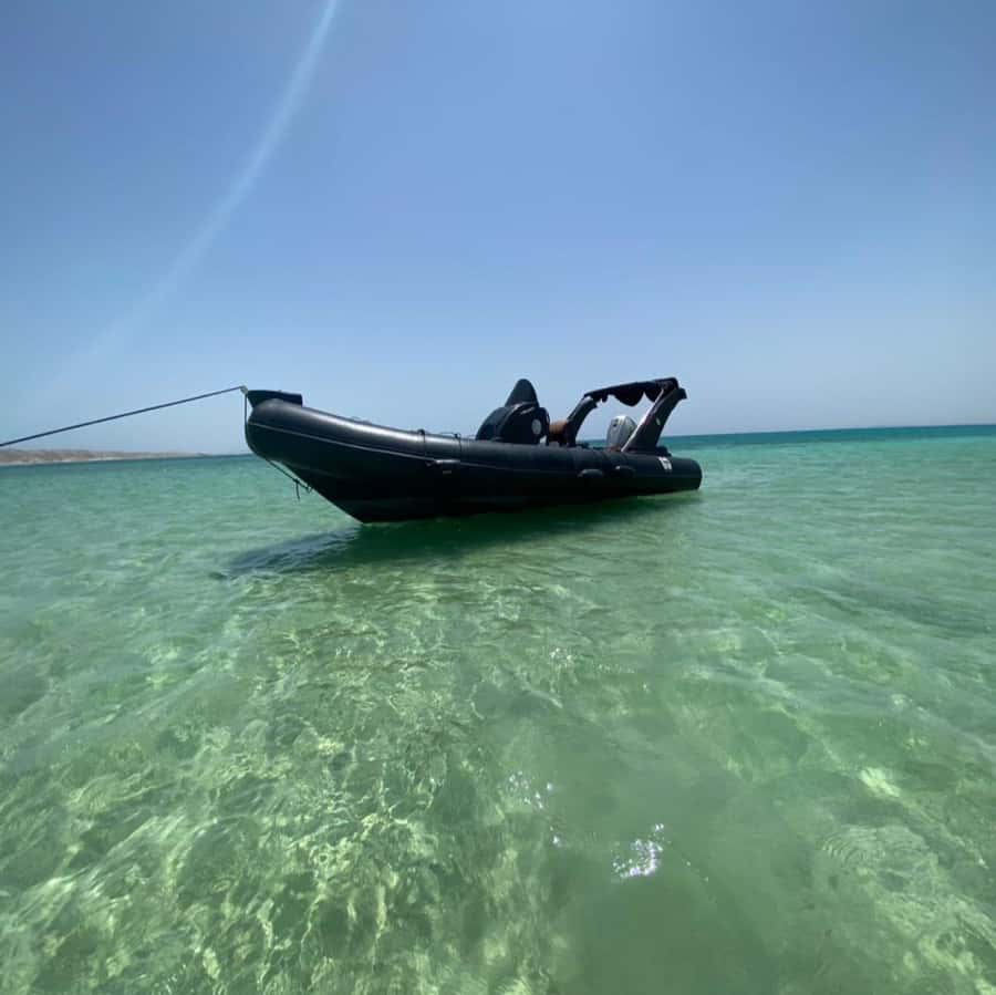Hurghada: Private Speedboat to Dolphin House with Pickup - On the Water: What a Private Speedboat Changes