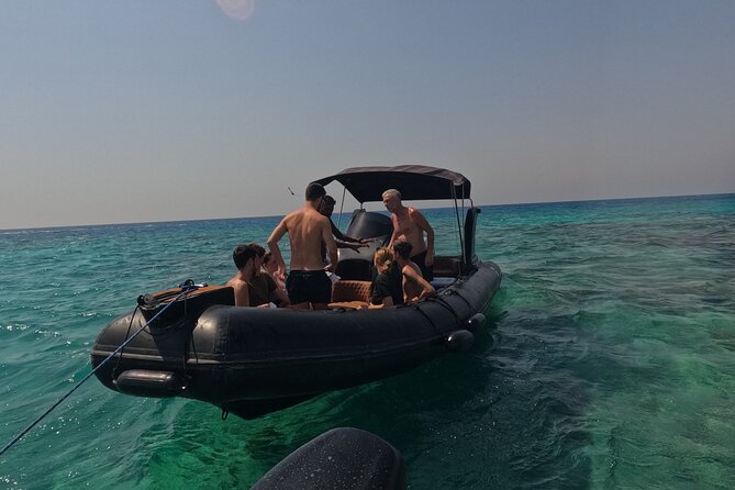 Hurghada Speedboat Dolphin Watching and Snorkeling - Price and value: is $47.12 a good deal?