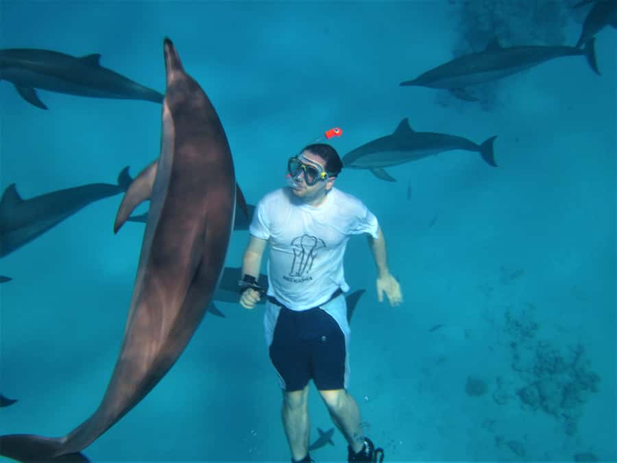 Hurghada: Speedboat Dolphin Watching & Snorkeling with Lunch - Key Things That Make This Tour Worth Your Time
