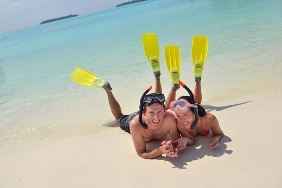 Hurghada: Speedboat Dolphin Watching & Snorkeling with Lunch - What You’re Actually Buying for $40 Per Person