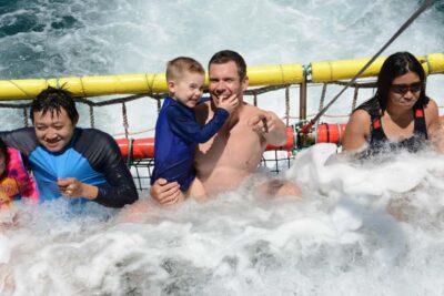 Huskisson: Dolphin Cruise & Boom Netting Experience - Meeting at Portside Cafe: small timing details that matter