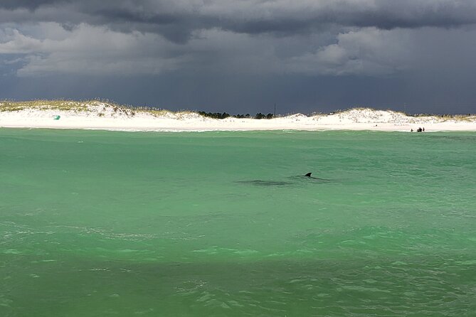 Hydro Rocket Dolphin Sightseeing Boat Tour from Destin - Key Things That Matter on This Dolphin Tour