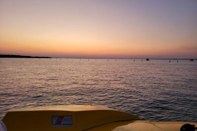 Hydro Rocket Dolphin Sightseeing Boat Tour from Destin - The Gulf of Mexico Dolphin Search: How the Trip Actually Works