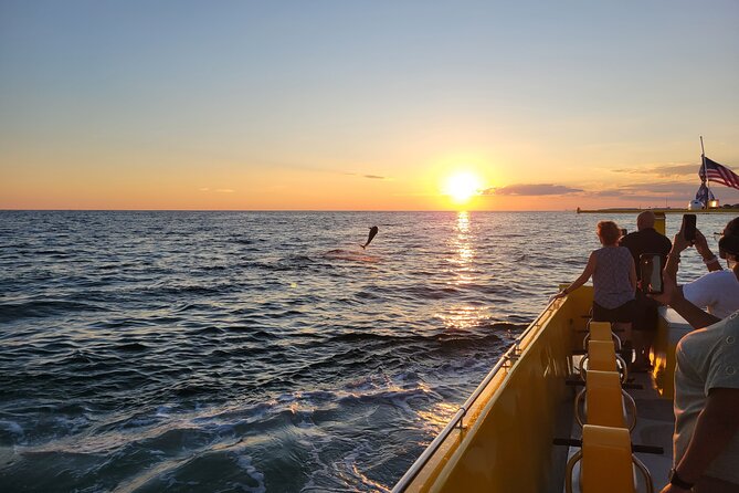 Hydro Rocket Dolphin Sightseeing Boat Tour from Destin - Timing, Weather, and What to Expect If Plans Change