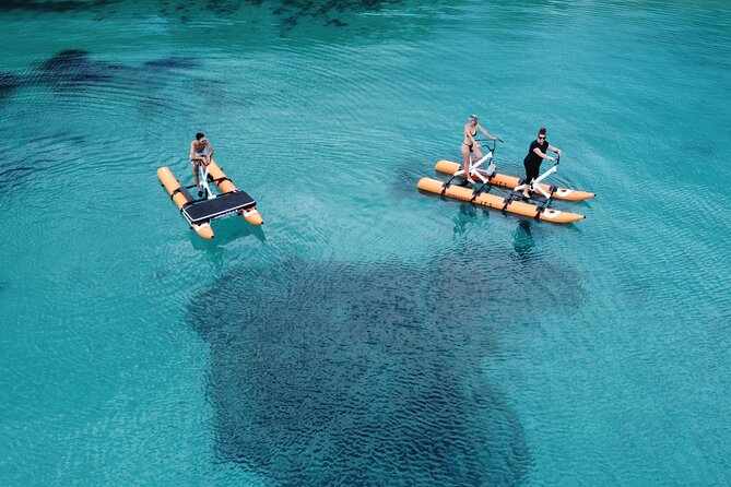Hydrobike tour with aperitif and dolphins - The dolphin factor: spotting them close, then dealing with speedboats