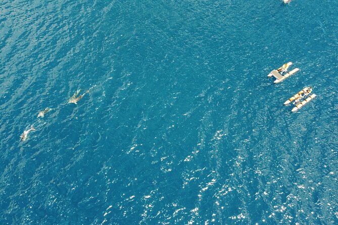 Hydrobike tour with aperitif and dolphins - Guides make the difference: Luka, Michelle, and marine biologist Simone