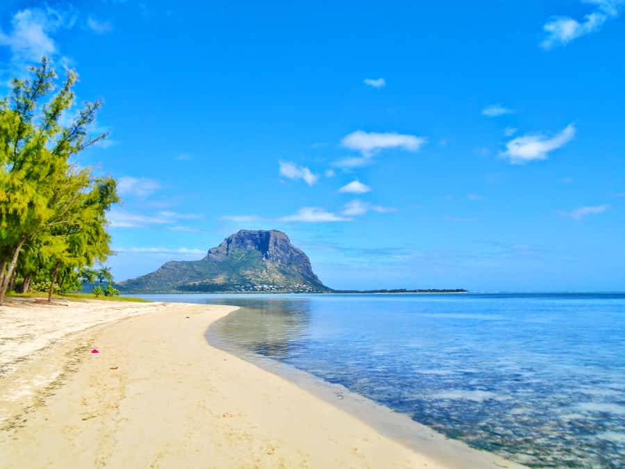 Île aux Bénitiers: Snorkeling w/Dolphins Boat Tour & Lunch - Ile aux Bénitiers: BBQ lunch plus beach time on coral reefs