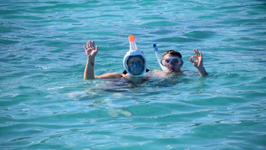 Île aux Bénitiers Snorkeling with Dolphins + Seafood Lunch - How This 9-Hour Île aux Bénitiers Day Stays Worth It