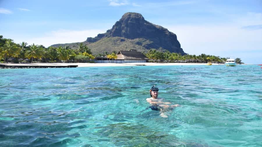 Île aux Bénitiers Snorkeling with Dolphins + Seafood Lunch - Whale Spotting and the Reality of Sea Timing