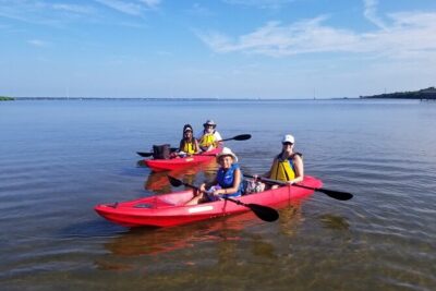 Indian River Clear Bottom Kayak or Paddleboarding Manatee and Dolphin Tour - Wildlife timing: manatees, dolphins, and the best paddle hours