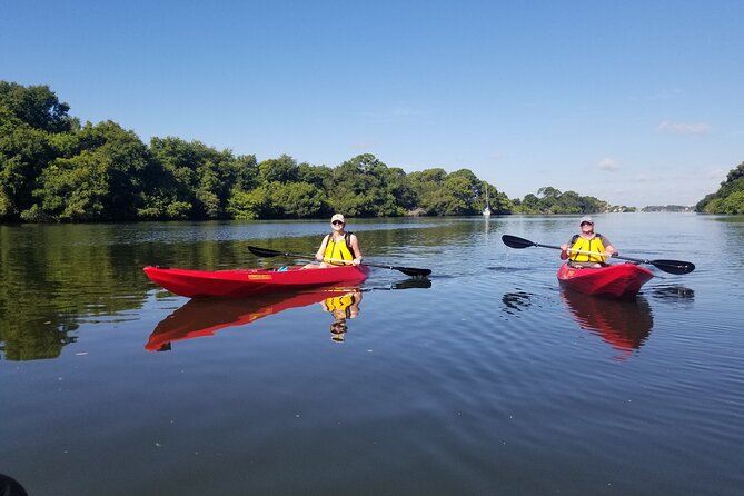 Indian River Clear Bottom Kayak or Paddleboarding Manatee and Dolphin Tour - Price and value at $75: what’s included and what to pack