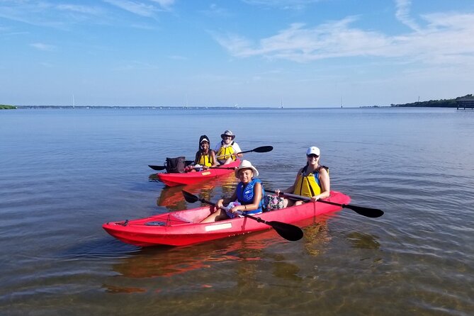Indian River Clear Bottom Kayak or Paddleboarding Manatee and Dolphin Tour - Wildlife timing: manatees, dolphins, and the best paddle hours