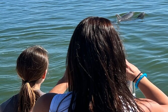 Island Paradise: Dolphin, Shelling, Birding Eco Boat Tour - What’s included, what to bring, and the no-restroom truth