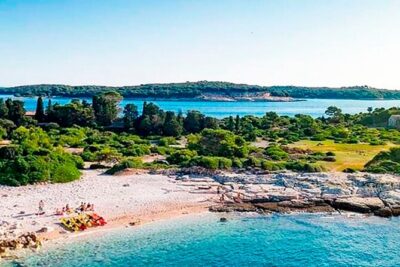 Island Visit National Park Brijuni & Dolphin Cruise - Lunch and meal choices: what’s included vs what you order