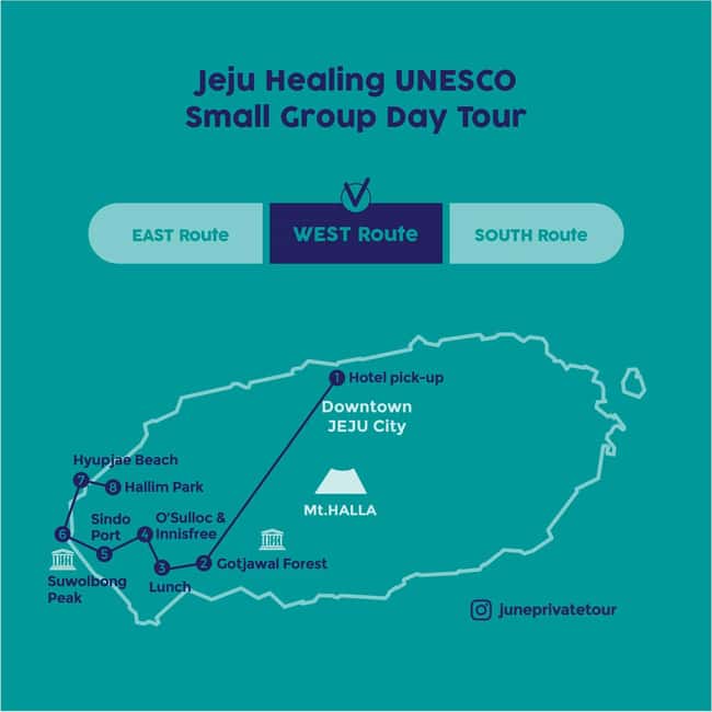 Jeju West: Small Group Healing Tour w/Caves & Dolphins - Hotel Pickup, Small-Group Comfort, and June’s Style