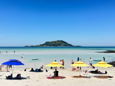 Jeju West: Small Group Healing Tour w/Caves & Dolphins - Price and What You Get for $105