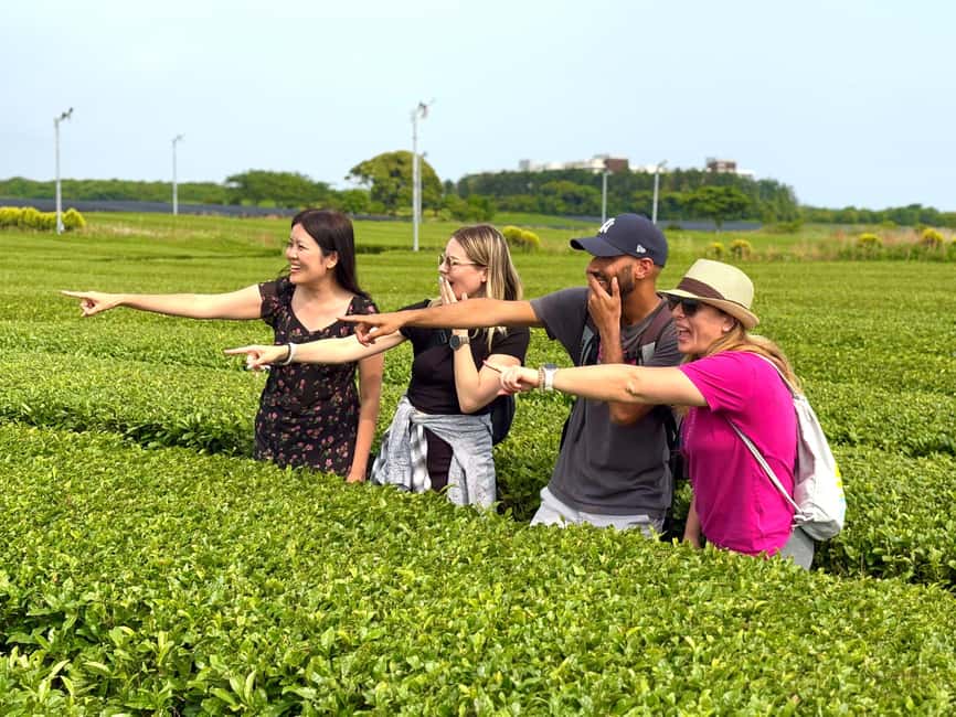 Jeju West: Small Group Healing Tour w/Caves & Dolphins - Suwolbong Observatory: Volcano Lessons You Can Actually See