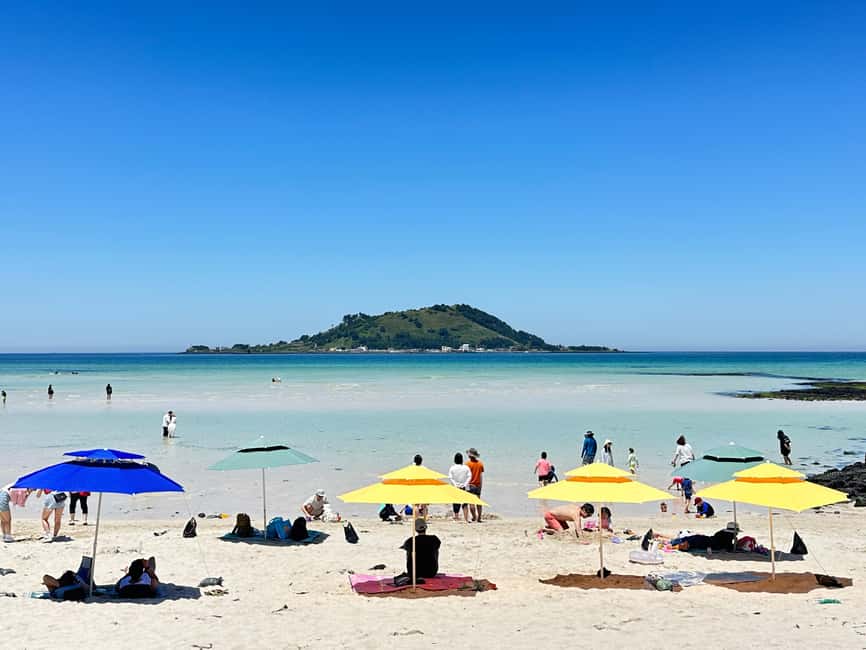 Jeju West: Small Group Healing Tour w/Caves & Dolphins - Price and What You Get for $105