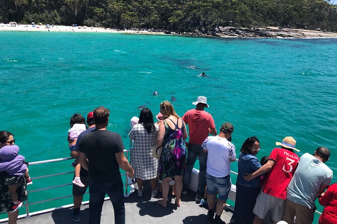 Jervis Bay Dolphin Cruise - What You’ll Actually See: Dolphins, Coast Views, and Reef Systems