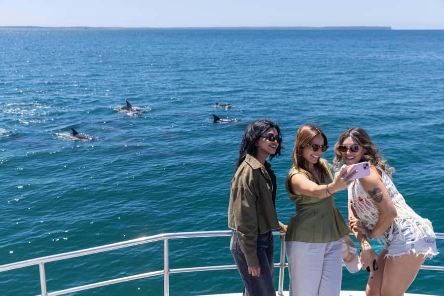 Jervis Bay Dolphin Cruise, Lunch, Berry&Kiama Blowhole Tour - Kiama Blowhole: the power show, with safety built in