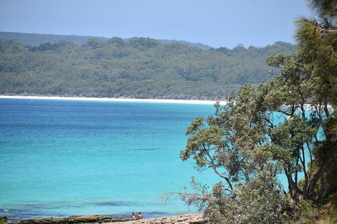 Jervis Bay Tour with Dolphins, Kangaroos & World's Whitest Beach - Huskisson Free Time: Breaks, Lunch Choices, and a Real Change of Pace