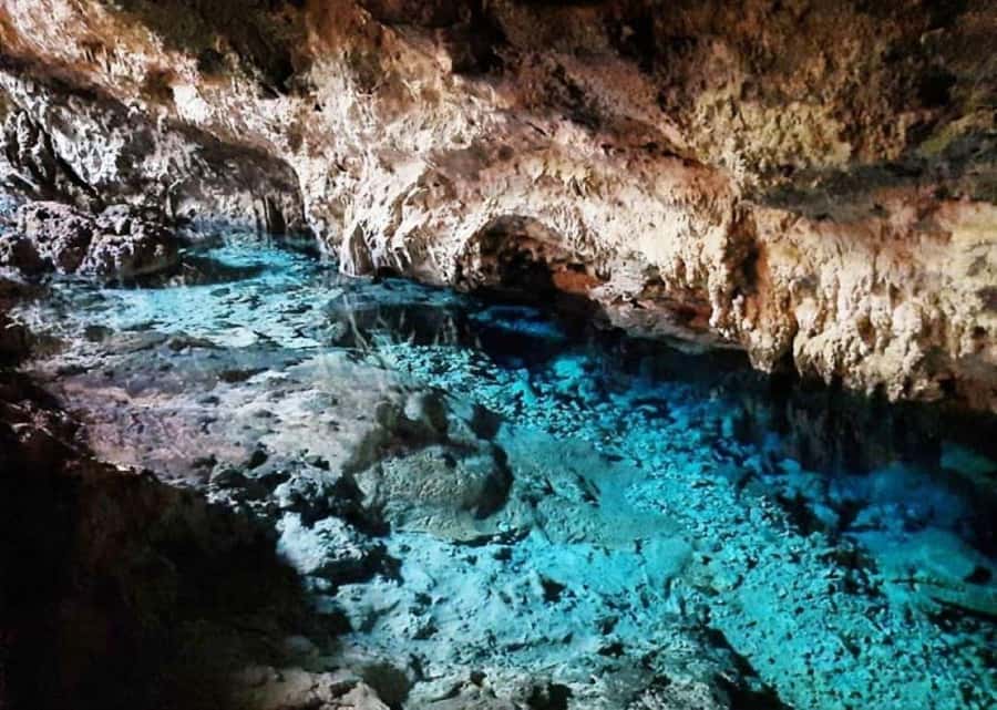 Jozani Monkey Tour, Kuza Cave Tour, Paje Beach, The Rock - Practical tips to make the day smoother