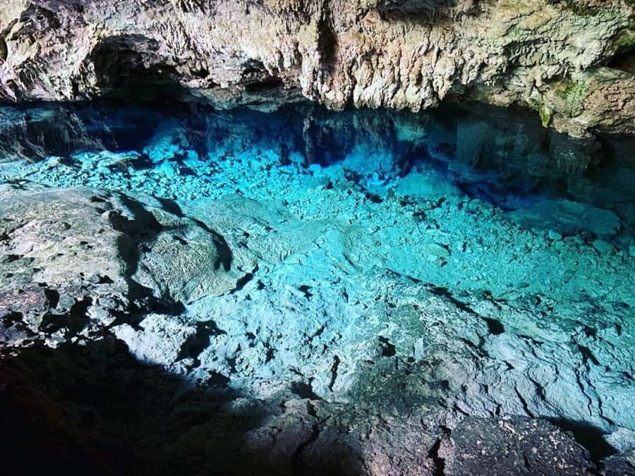 Jozani Monkey Tour, Kuza Cave Tour, Paje Beach, The Rock - Price ($150 per person) and what you actually get for it