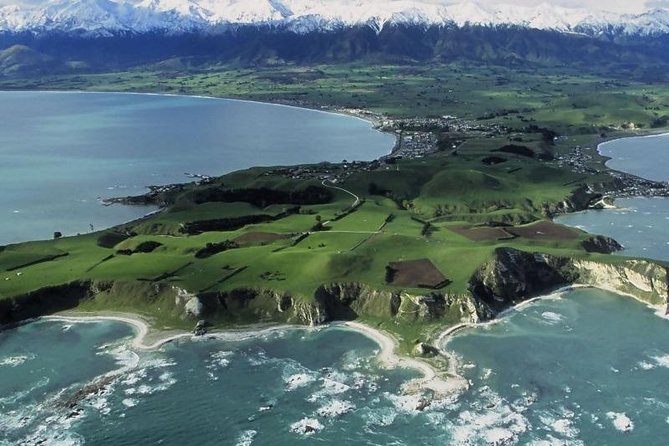 Kaikoura Swim with Dolphins Tour from Christchurch - The boat ride and the dolphin swim: what actually happens