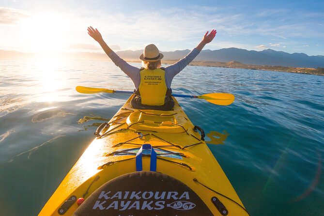 Kaikoura Swim with Dolphins Tour from Christchurch - Booking mindset: be ready for weather and minimum numbers