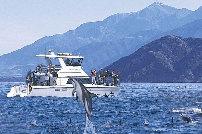 Kaikoura Swim with Dolphins Tour from Christchurch - Wetsuit snorkel gear: warm enough, but cold water is still a thing