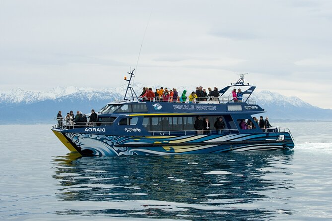 Kaikoura Whale and Dolphin Overnight Tour from Christchurch - Whale watching by boat: what you’re signing up for