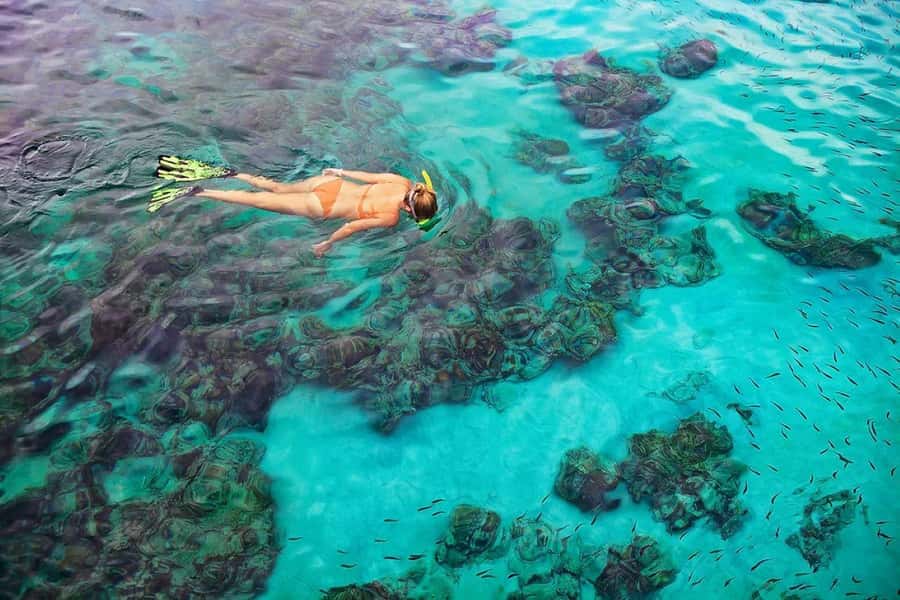 Kailua Kona: Dolphin, Sea Cave and Captain Cook Snorkel Tour - Key things to know before you go