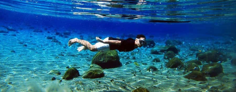 Kailua Kona: Dolphin, Sea Cave and Captain Cook Snorkel Tour - Zodiac RIB in Kailua Kona: small-group, fast, and built for comfort